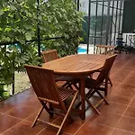 Tres Chihuahuas & Spa V