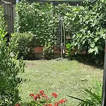 Tres Chihuahuas & Spa V